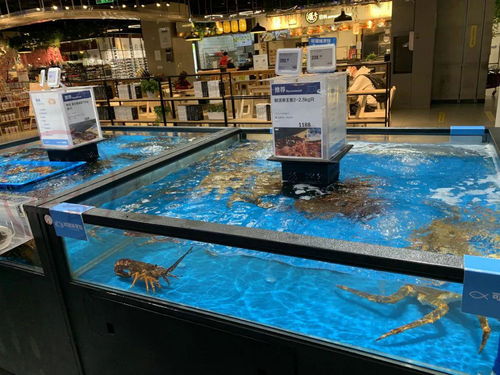 盒馬鮮生最新陳列欣賞